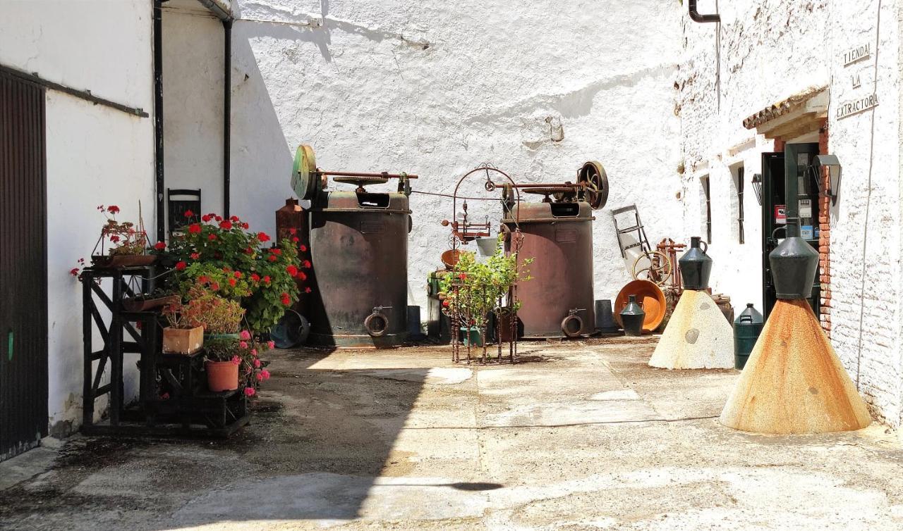 Molino El Vinculo Konuk evi Zahara De La Sierra Dış mekan fotoğraf
